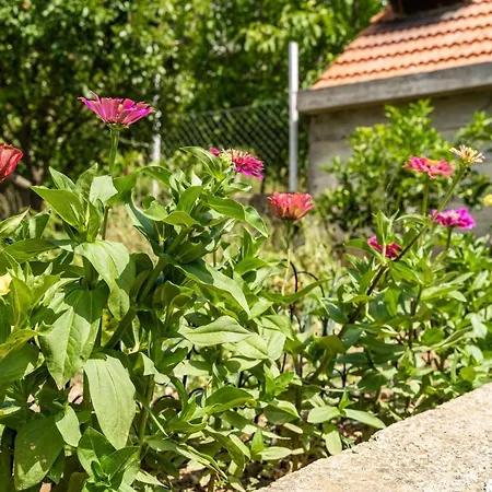 Marija Appartamento *