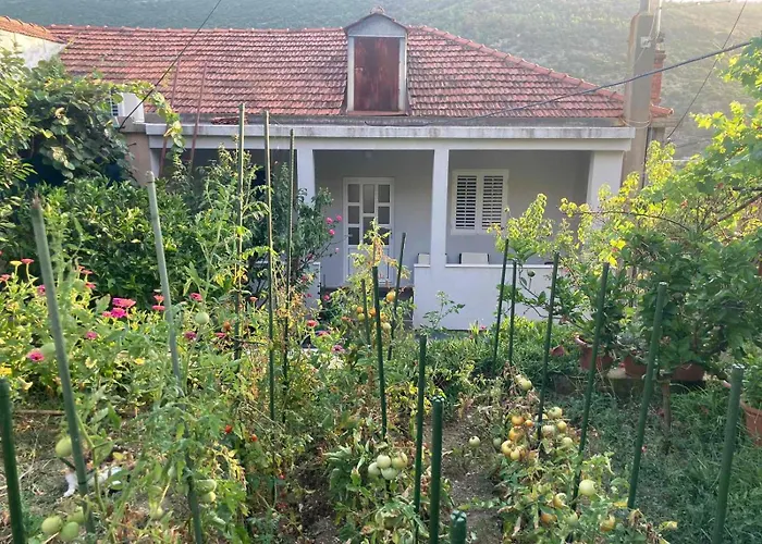 Marija Dubrovnik